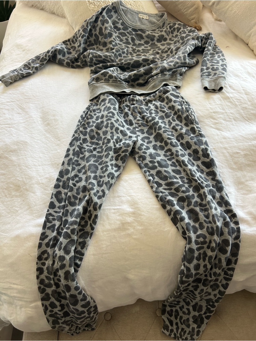 Cozy Gray Leopard Print Sweatshirt & Jogger Set